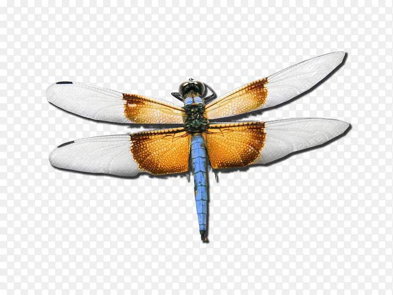 ���������-������