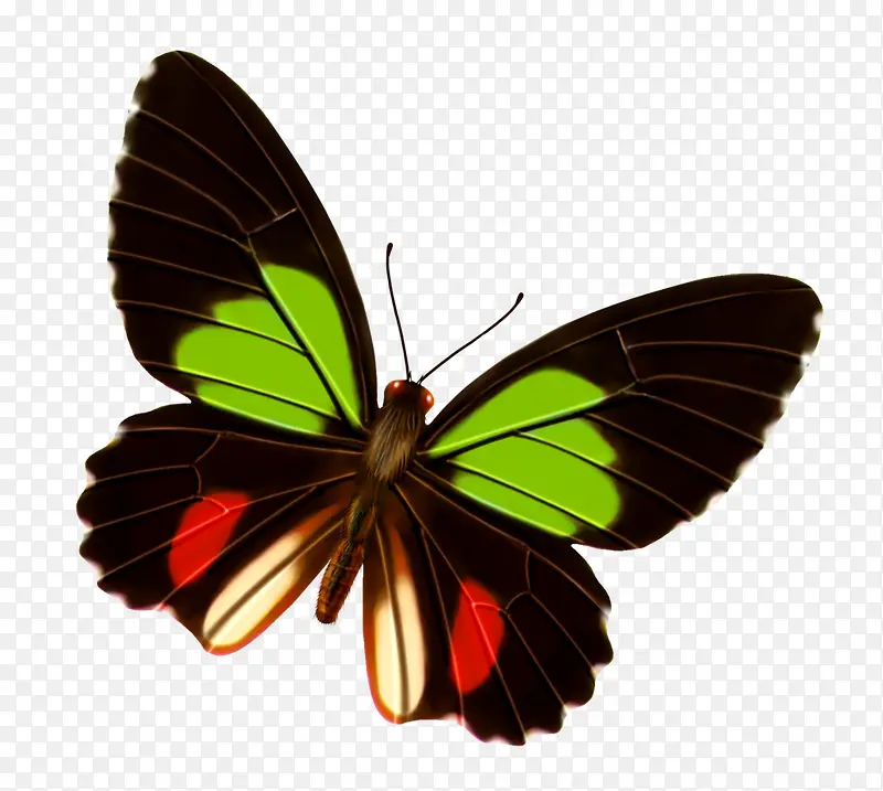 ����-������