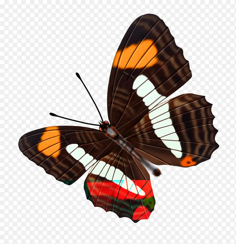 ����-������