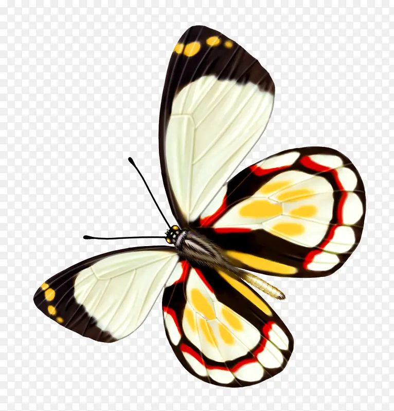 ����-������