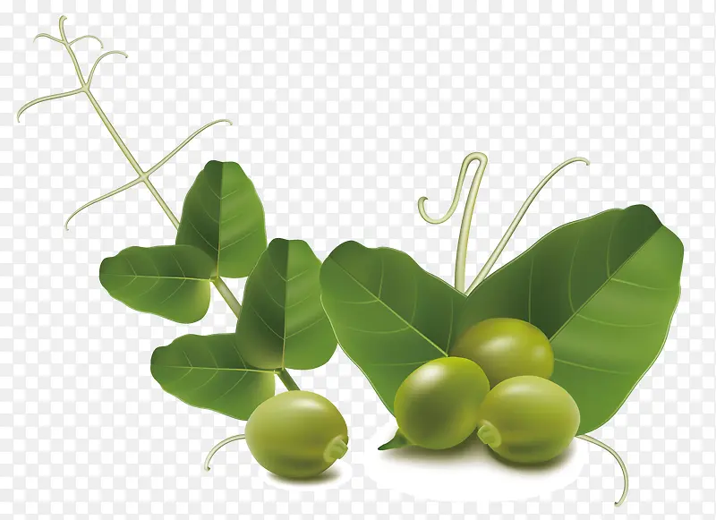 ��ɫ�Ķ���-������