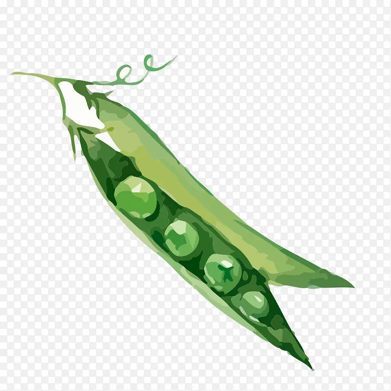 �߲��ز�-������