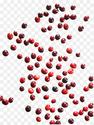 ��ɫ����ʳ��-������