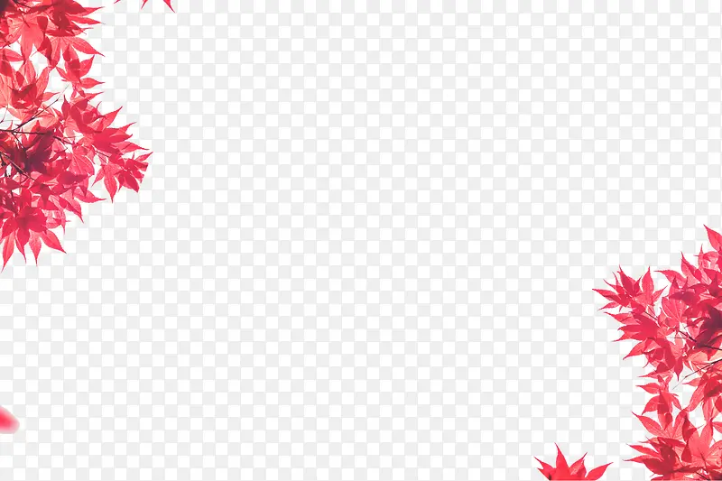 ��ɫ��Ҷ���ز�-������