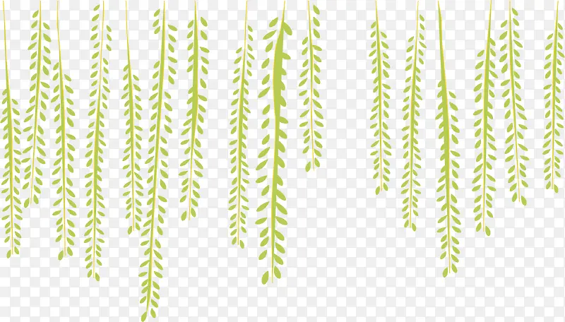 ��Ҷ����-������