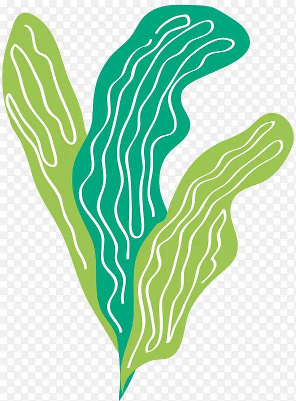 �ױ�ʸ����ͨ����-������