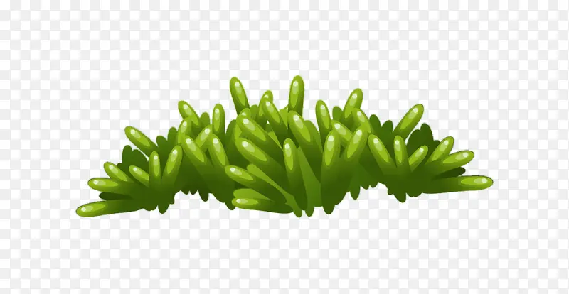 ��ɫ���忨ͨ����-������