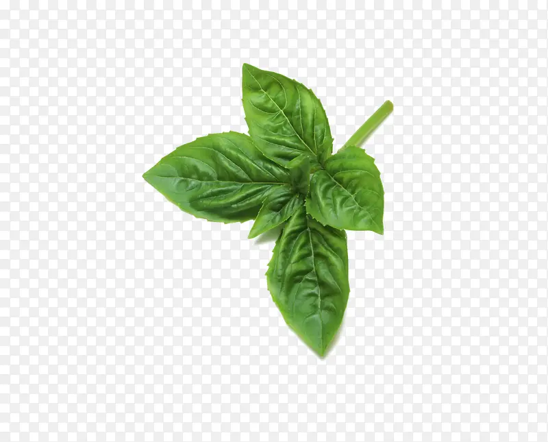 �߲�Ҷ��-������