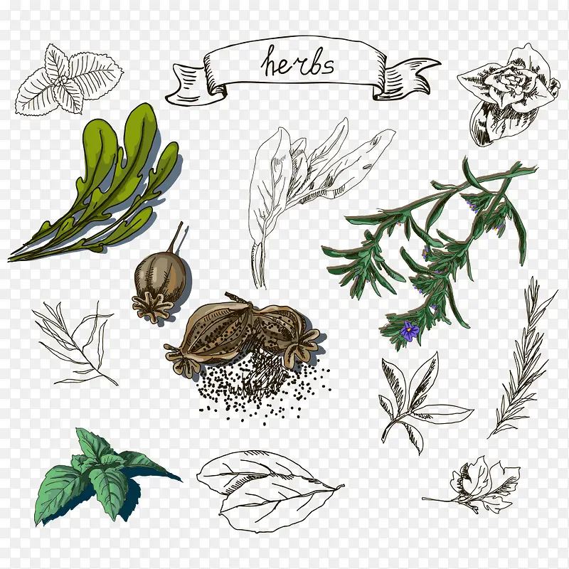 �߲�-������