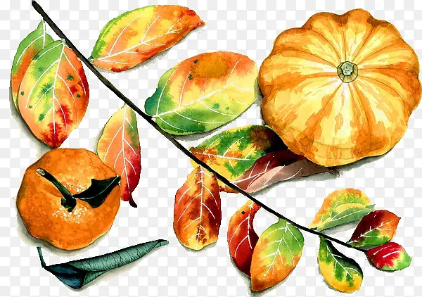 �ֻ��߲�ˮ��-������