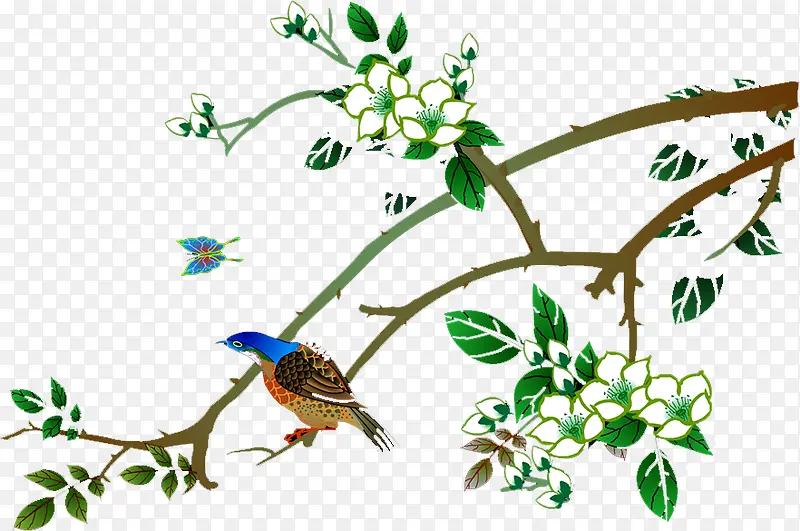 ��֦-������