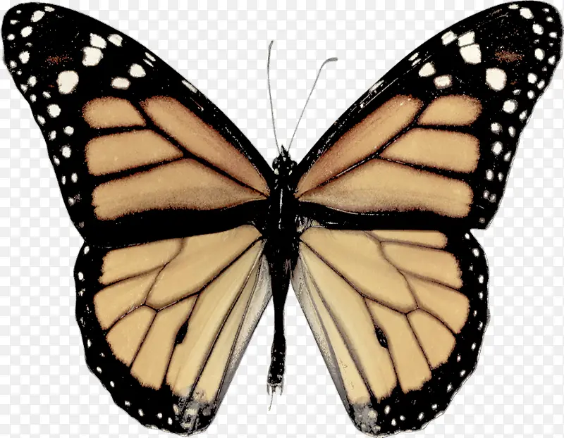 ����-������