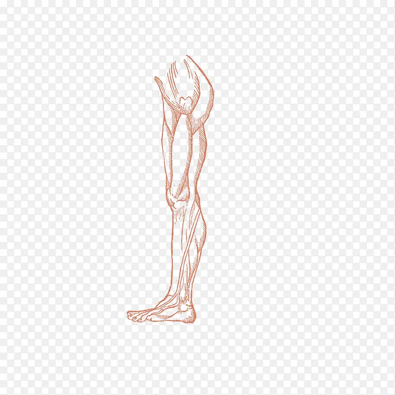 �ֻ��������ز�-������