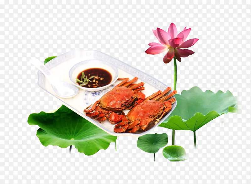 ��Ʒʵ���բз�����������Ӻ�Ҷ-������