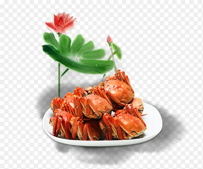 ��Ʒʵ���բз�ɻ���Ҷ����-������