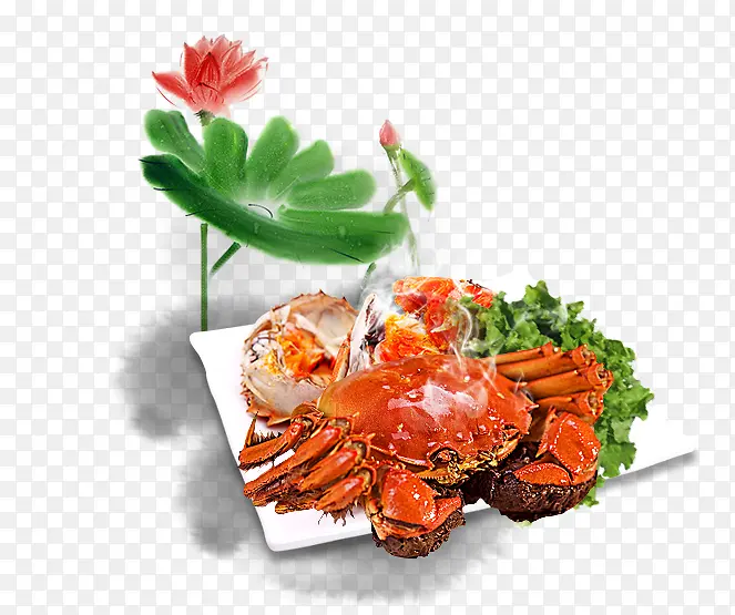 ��Ʒʵ���բз�ɻ���Ҷ�۲�����-������