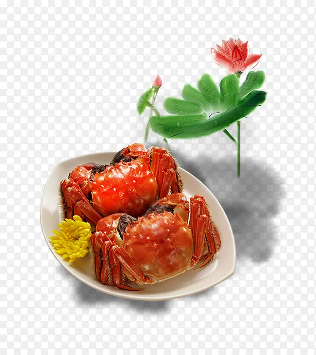 ��Ʒʵ���բз�ɻ���Ҷ�۲˾ջ�-������