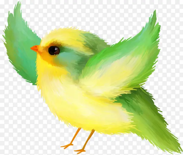 ˮ��С��-������