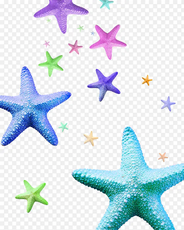 ��ɫ����-������