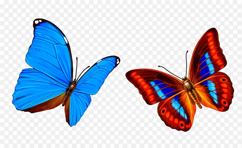 ����ɫ����-������