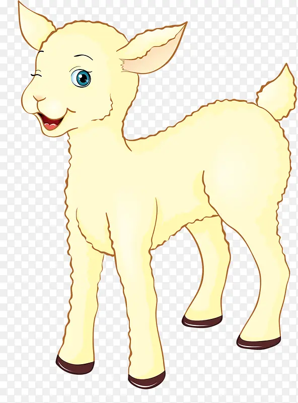 �ɰ���С���-������