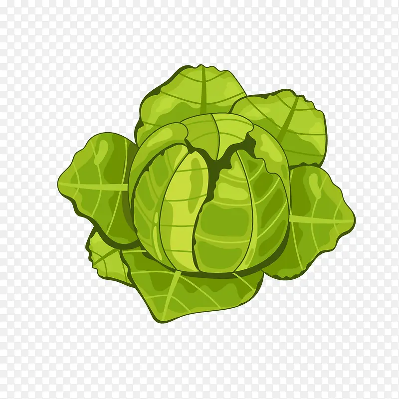 ������ɫʳ���������-������