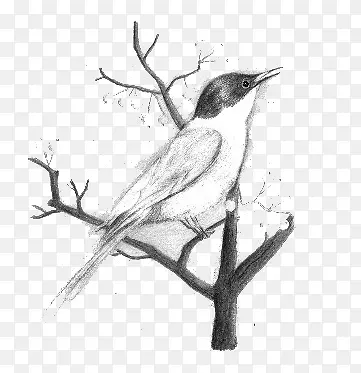 ��ȸ-������