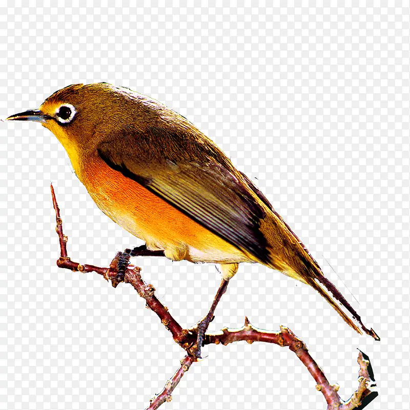 С��-������