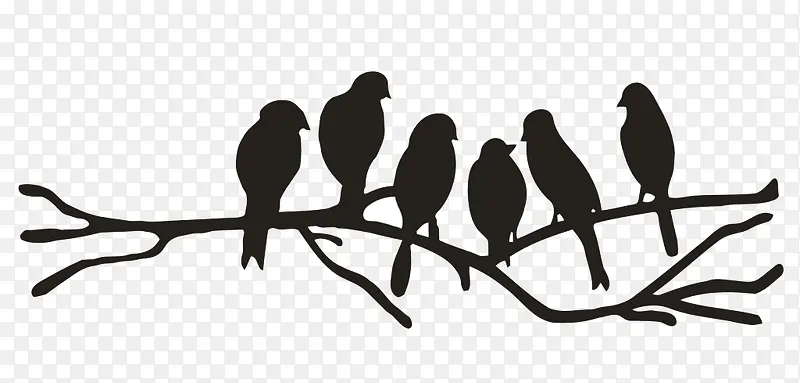 ��Ӱ��֦-������