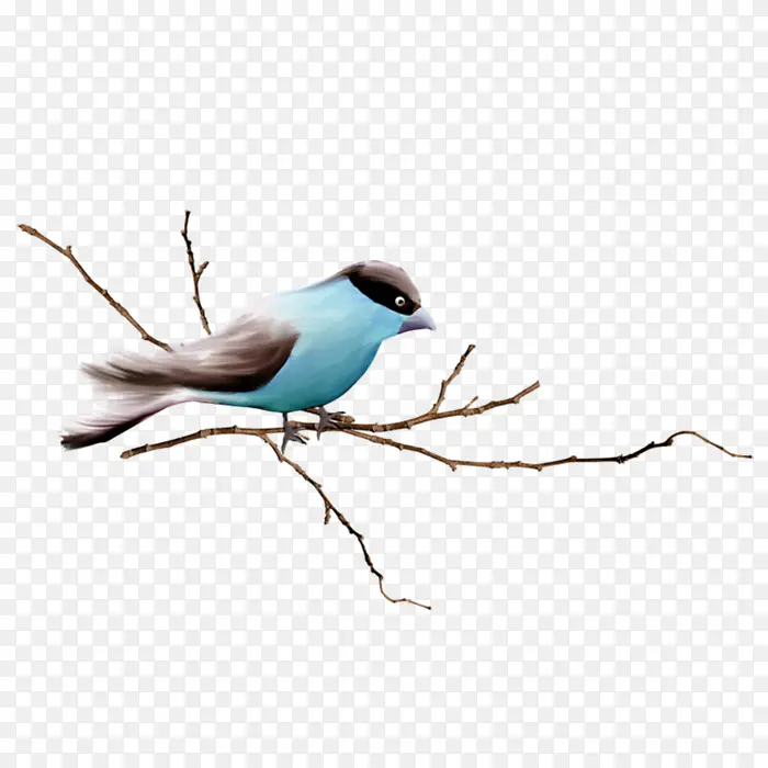 С��ȸ-������