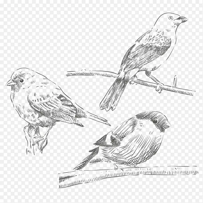 ʸ���ֻ���ȸ-������