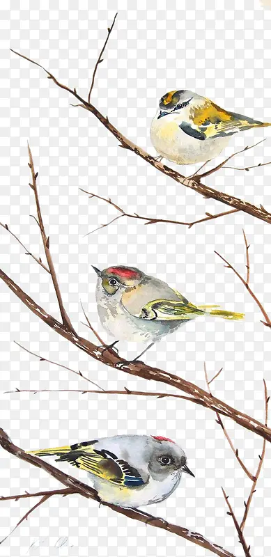 ��֦����ȸ-������