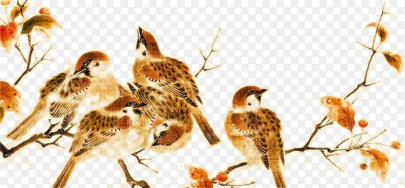 ��֦�ϵ���ȸ�زĶ�-������