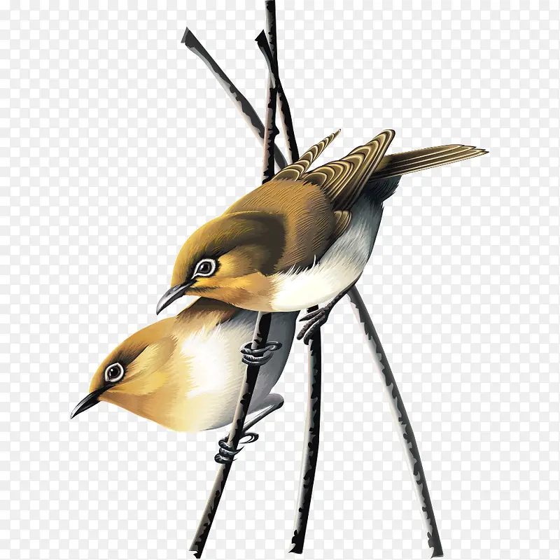 ��ȸ-������