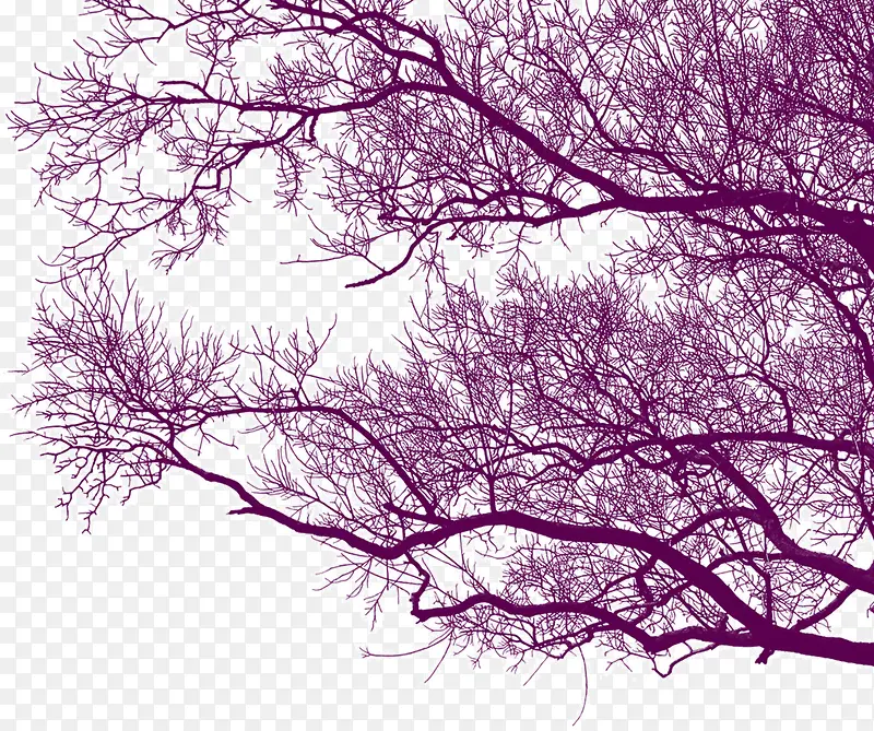 �ɿݵ���ľ-������