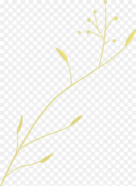 ��֦-������