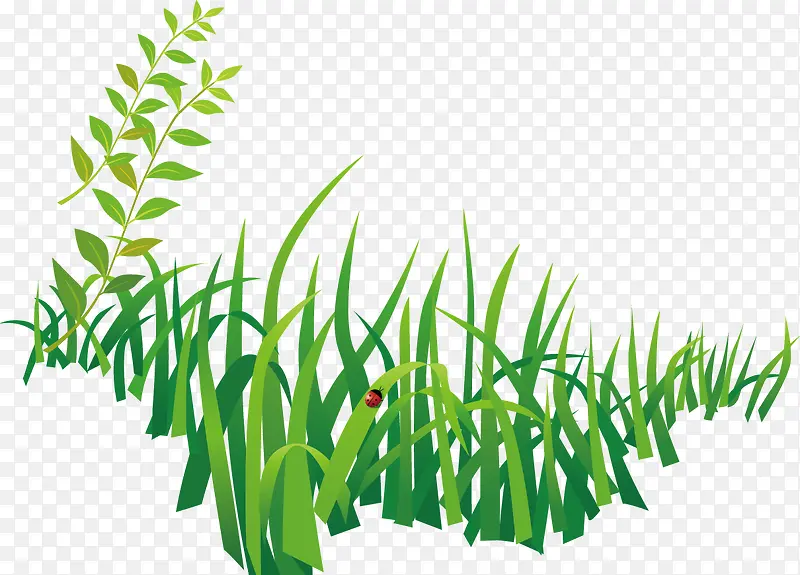 ��ɫ�Ĳݴ�ʸ���ز�-������