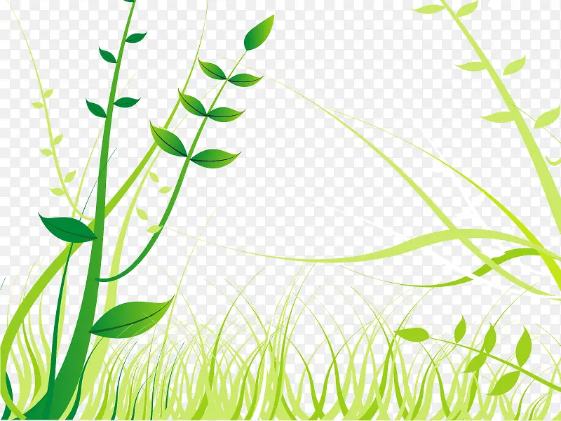 ��֦-������