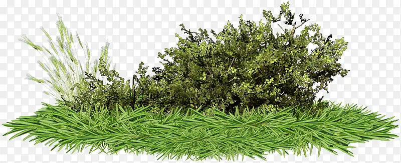 �ݴ�-������