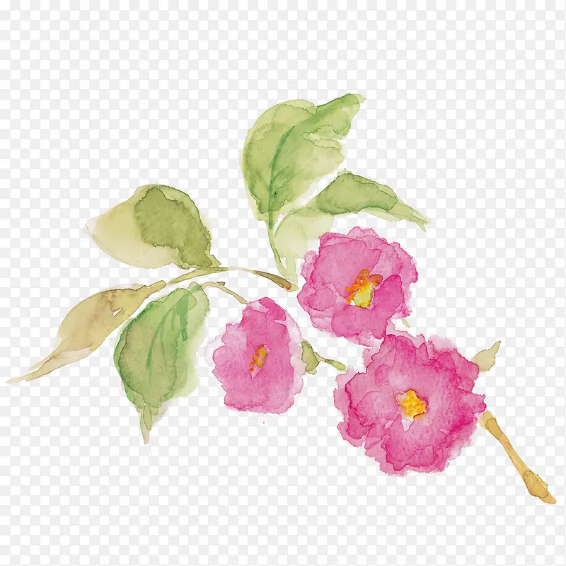 �ɰ�����-������