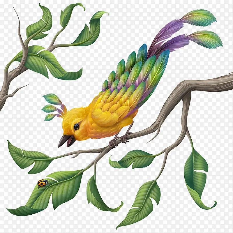 ��֦�ϵ�С��-������