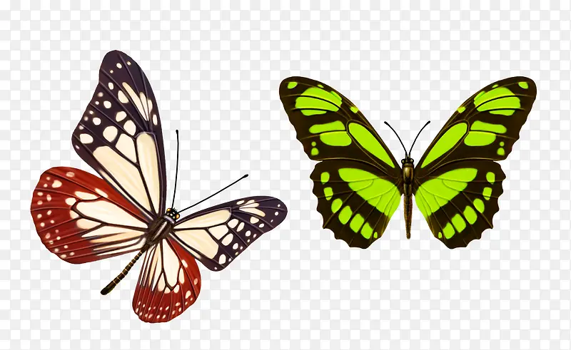 ��ɫ����-������