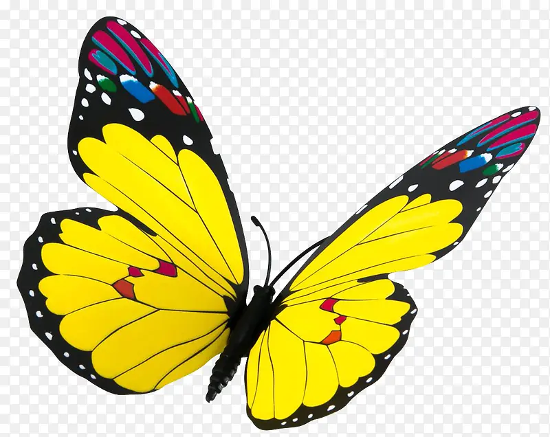 ��ͨ����-������