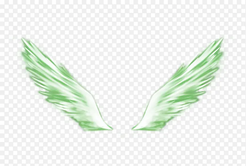 ��ɫ���-������