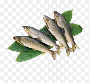 С����-������