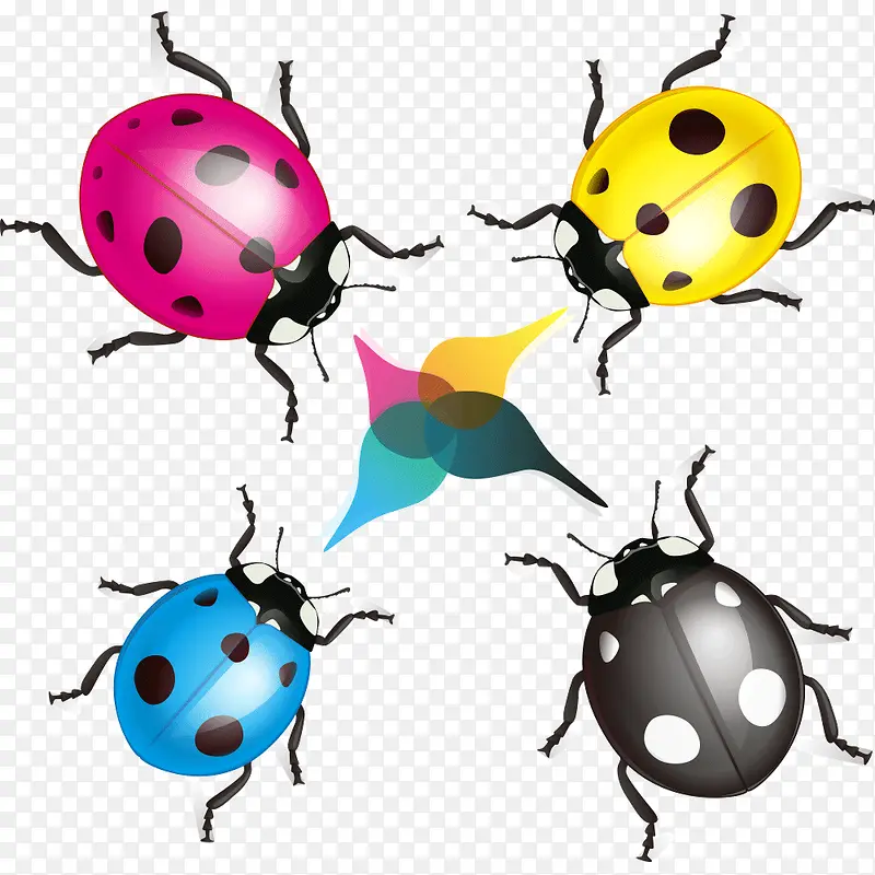 ����ư��-������