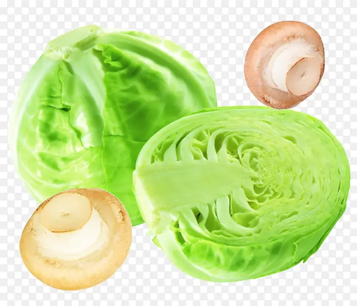 �а����ײ��ز�-������