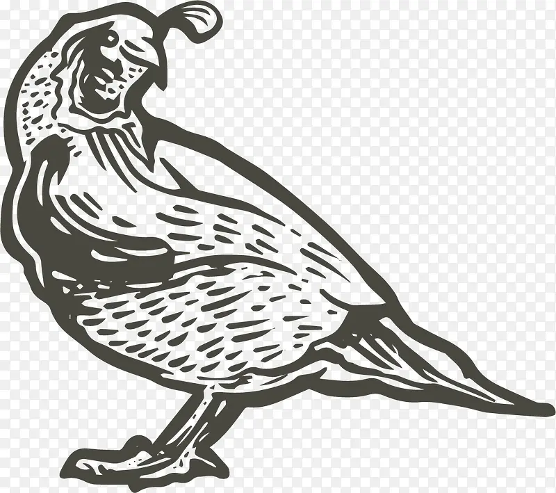 ��ɫ������ͨʸ������-������