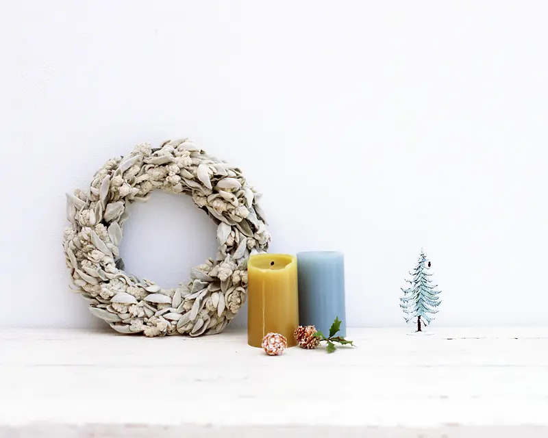 ʳ����ʳ��������-������