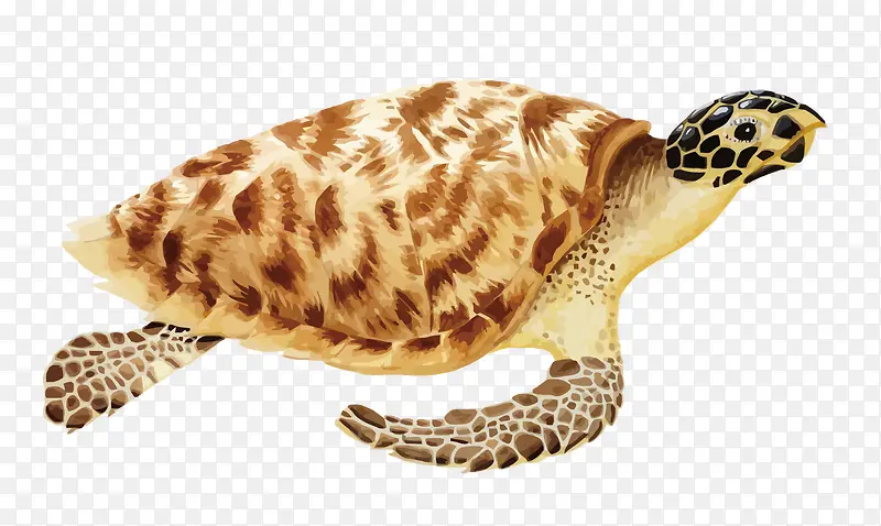 ʸ������-������